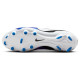 Nike Legend 10 Academy FG/MG